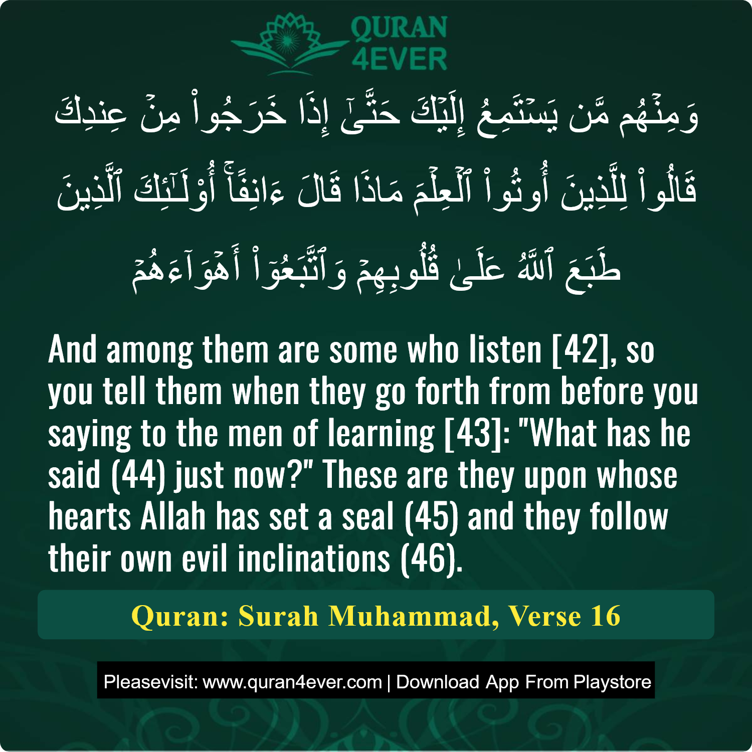 Surah 47, Ayah 16 - Quran Image