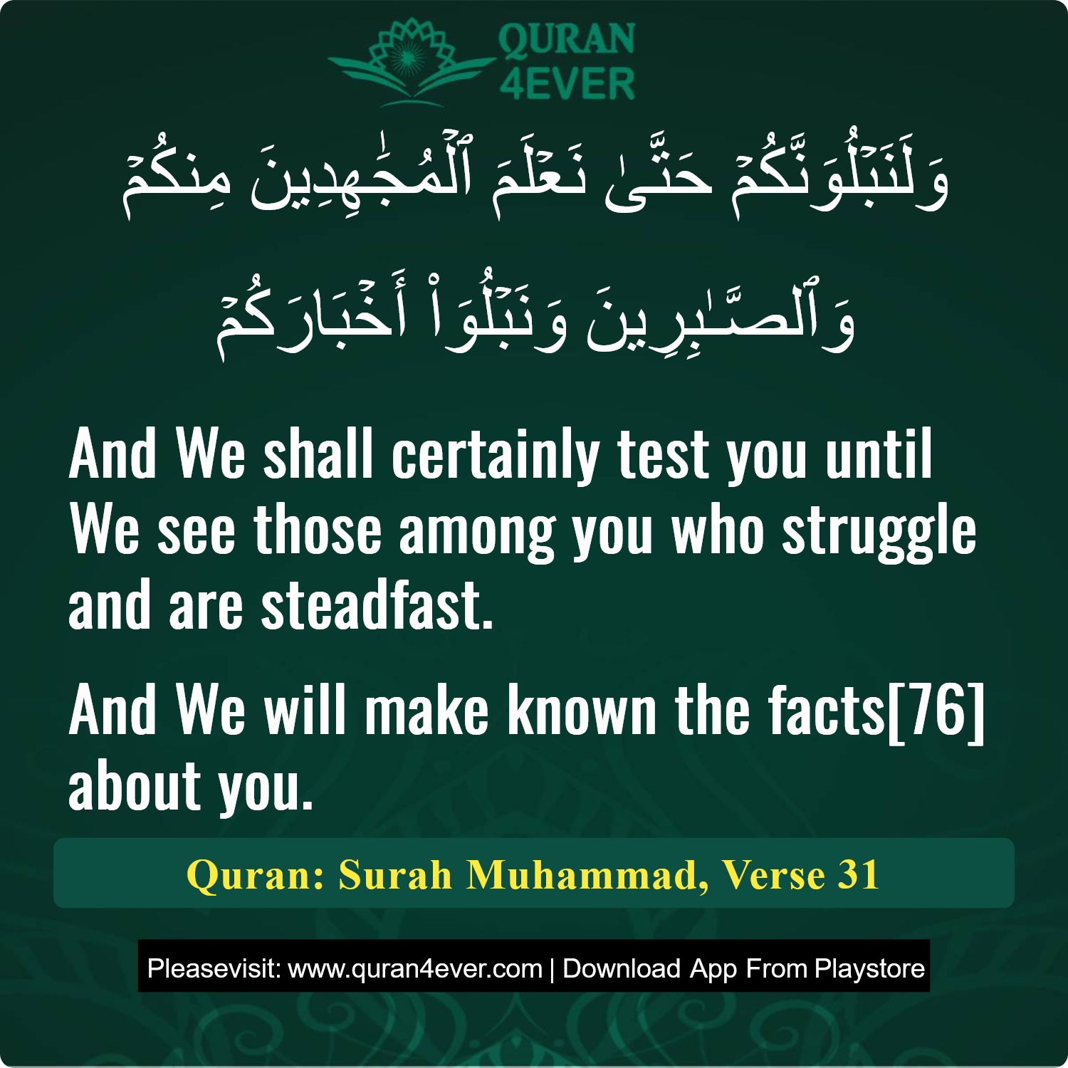 Surah 47, Ayah 31 - Quran Image