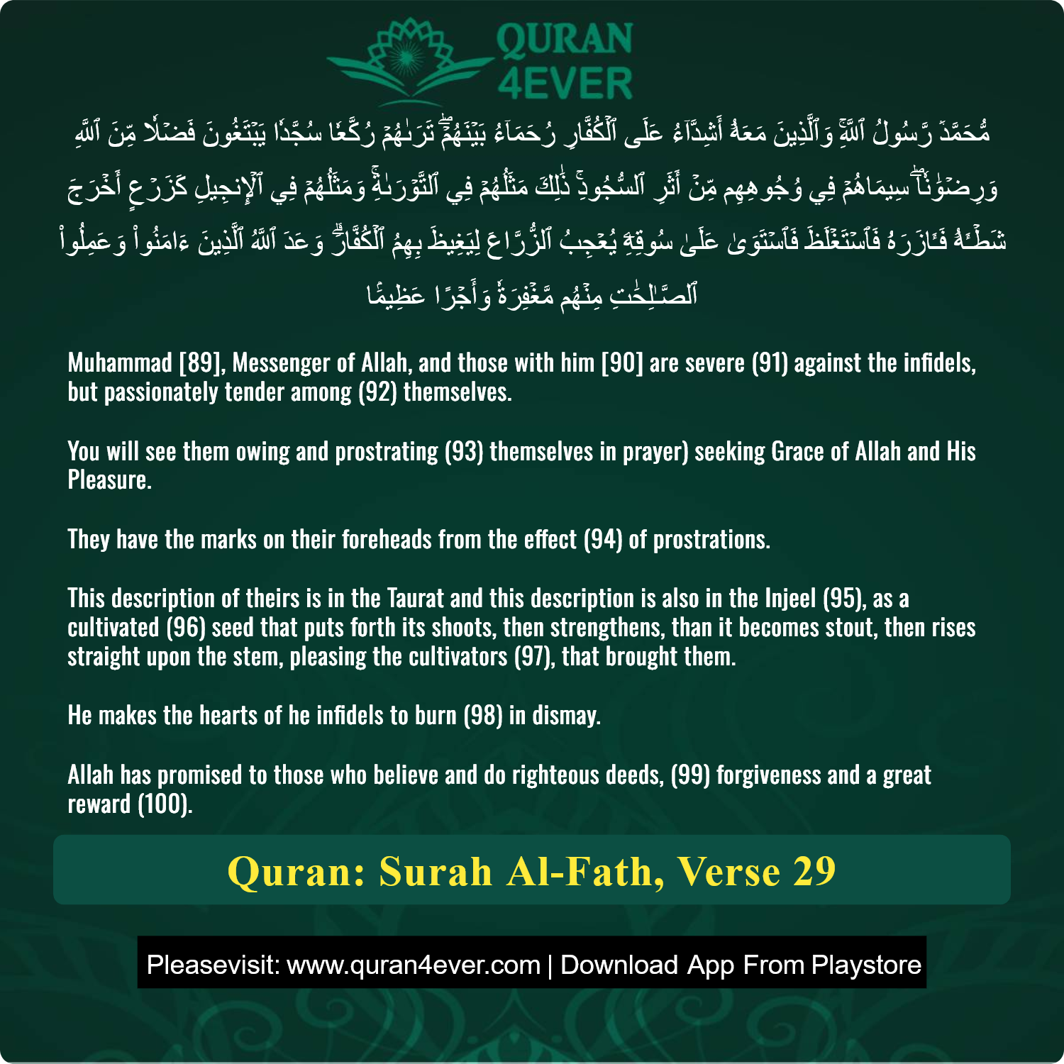 Surah 48, Ayah 29 - Quran Image