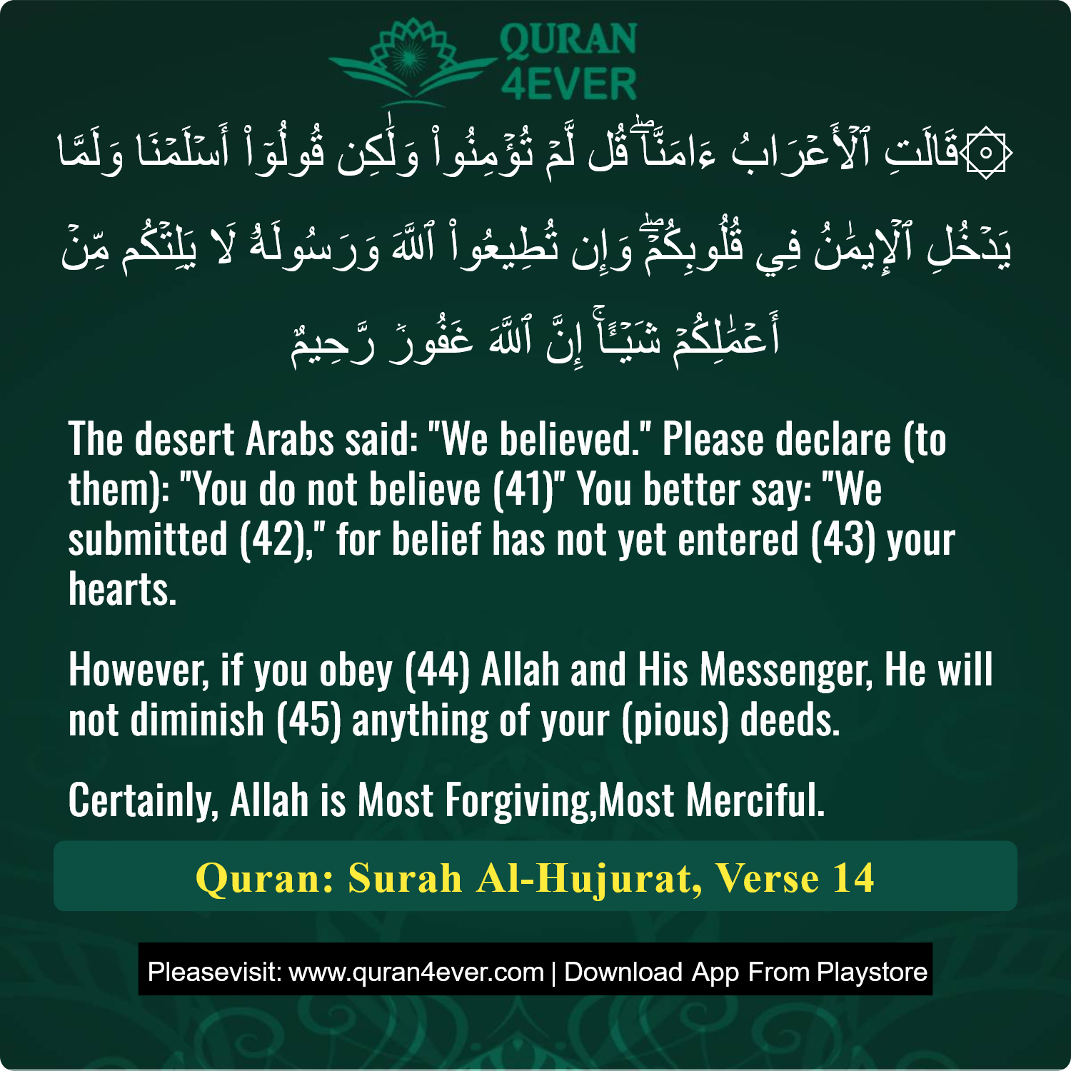 Surah 49, Ayah 14 - Quran Image