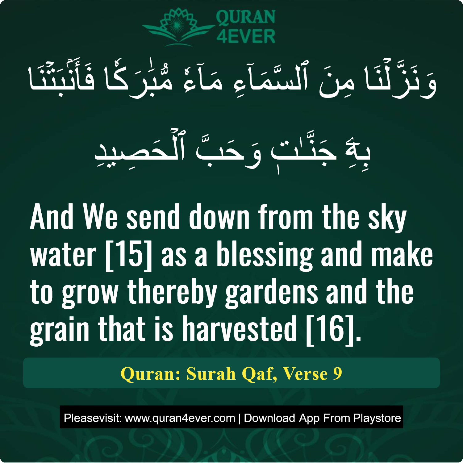 Surah 50, Ayah 9 - Quran Image