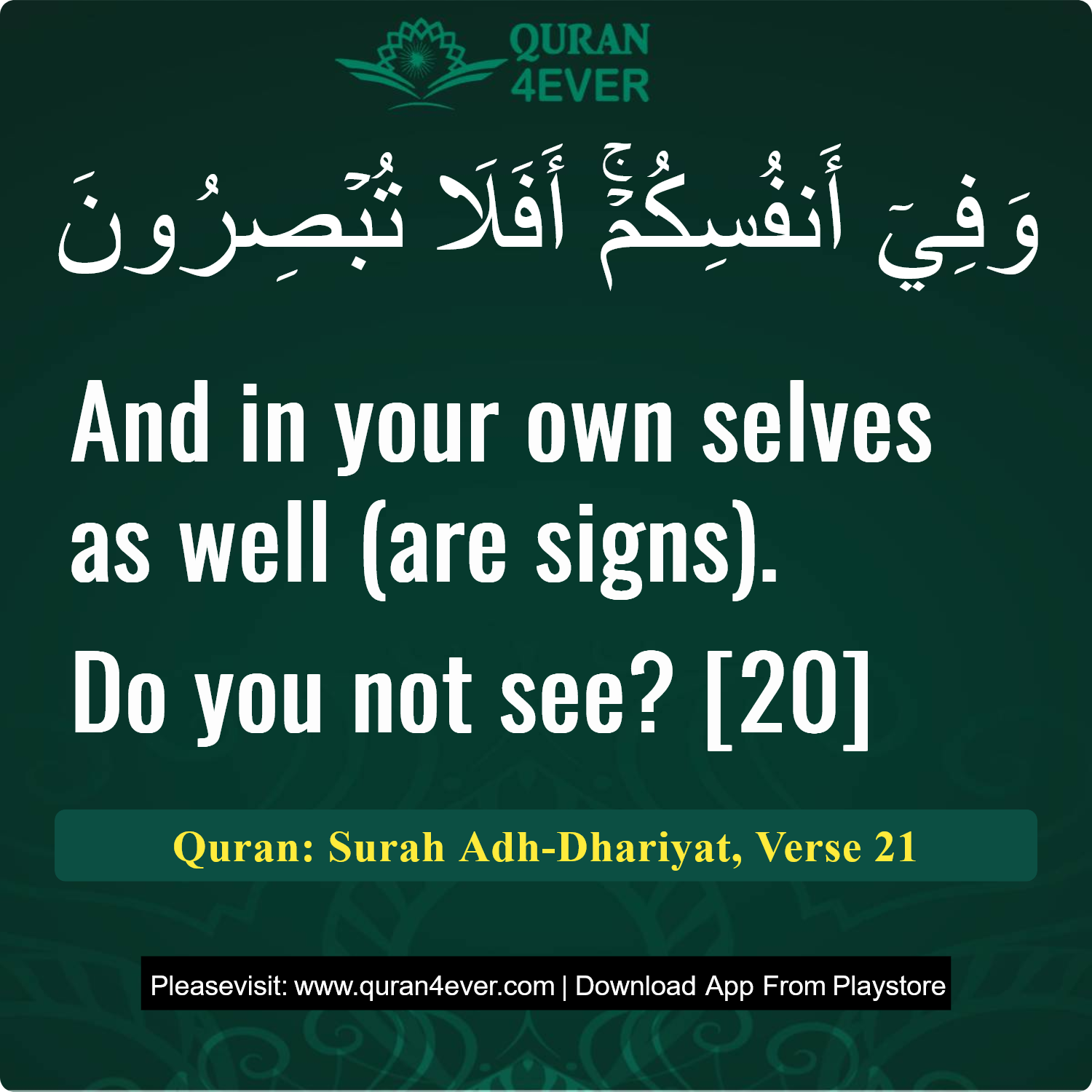 Surah 51, Ayah 21 - Quran Image