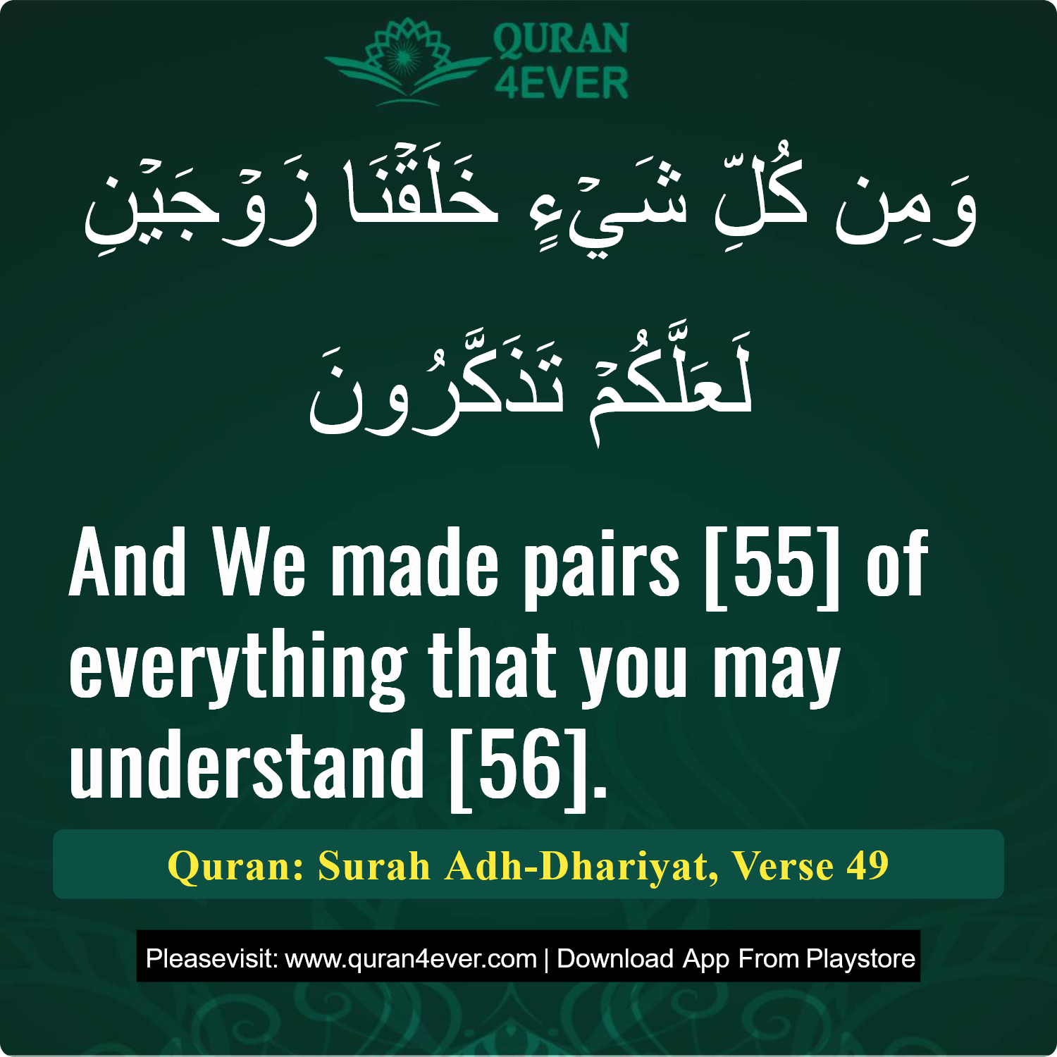 Surah 51, Ayah 49 - Quran Image