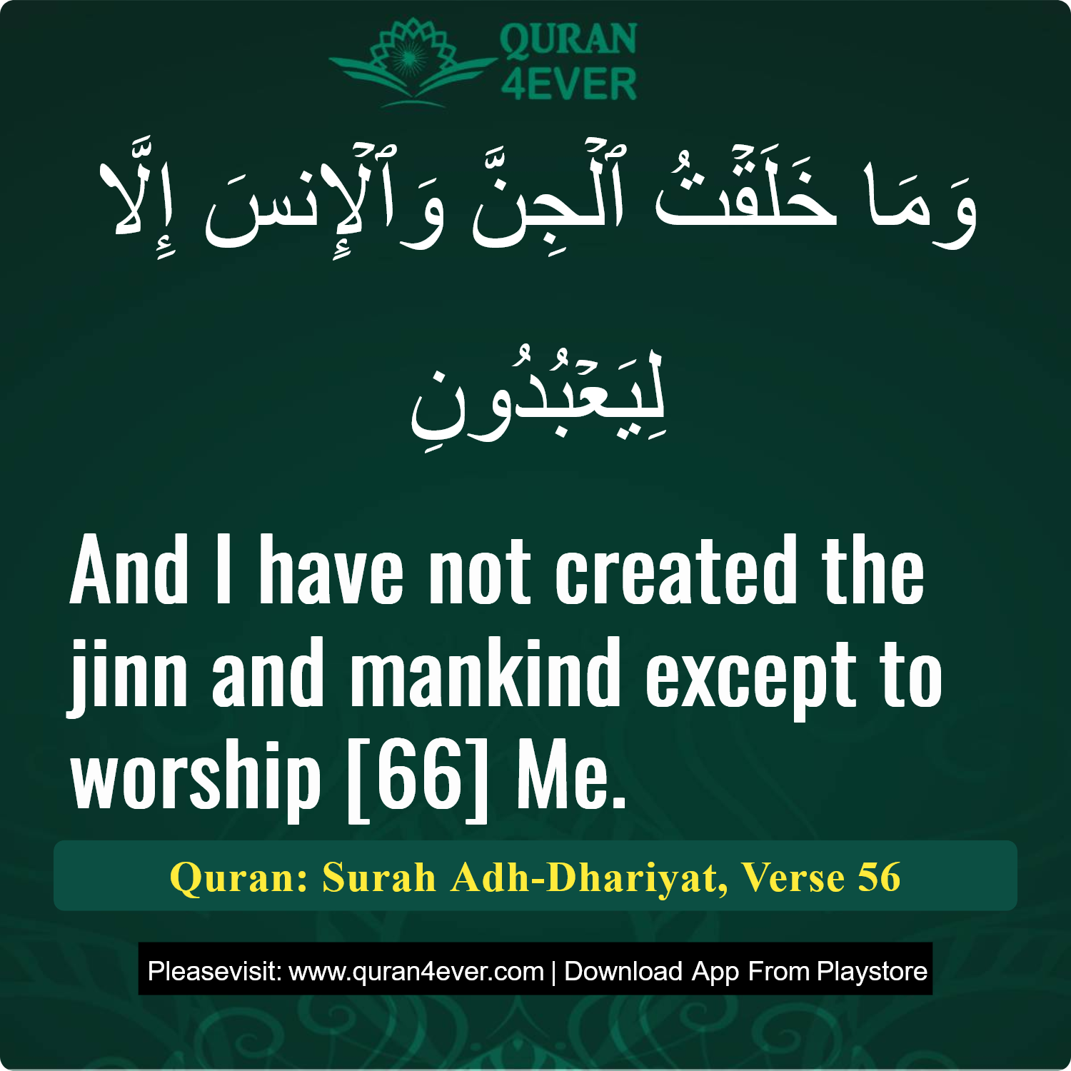 Surah 51, Ayah 56 - Quran Image