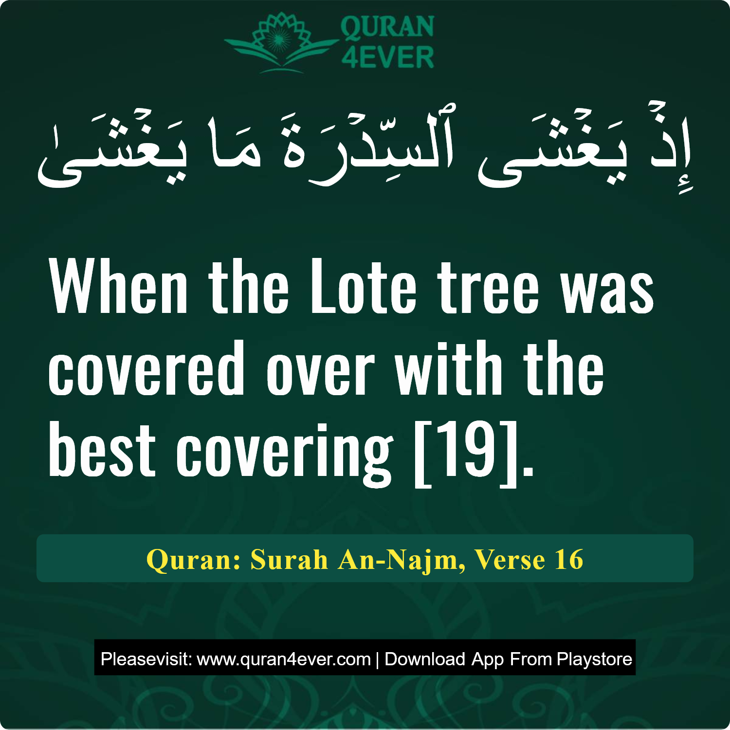 Surah 53, Ayah 16 - Quran Image