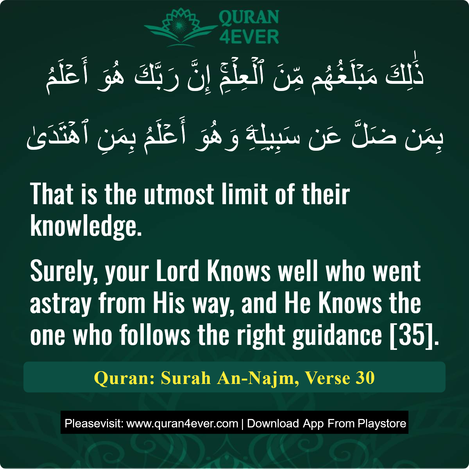 Surah 53, Ayah 30 - Quran Image