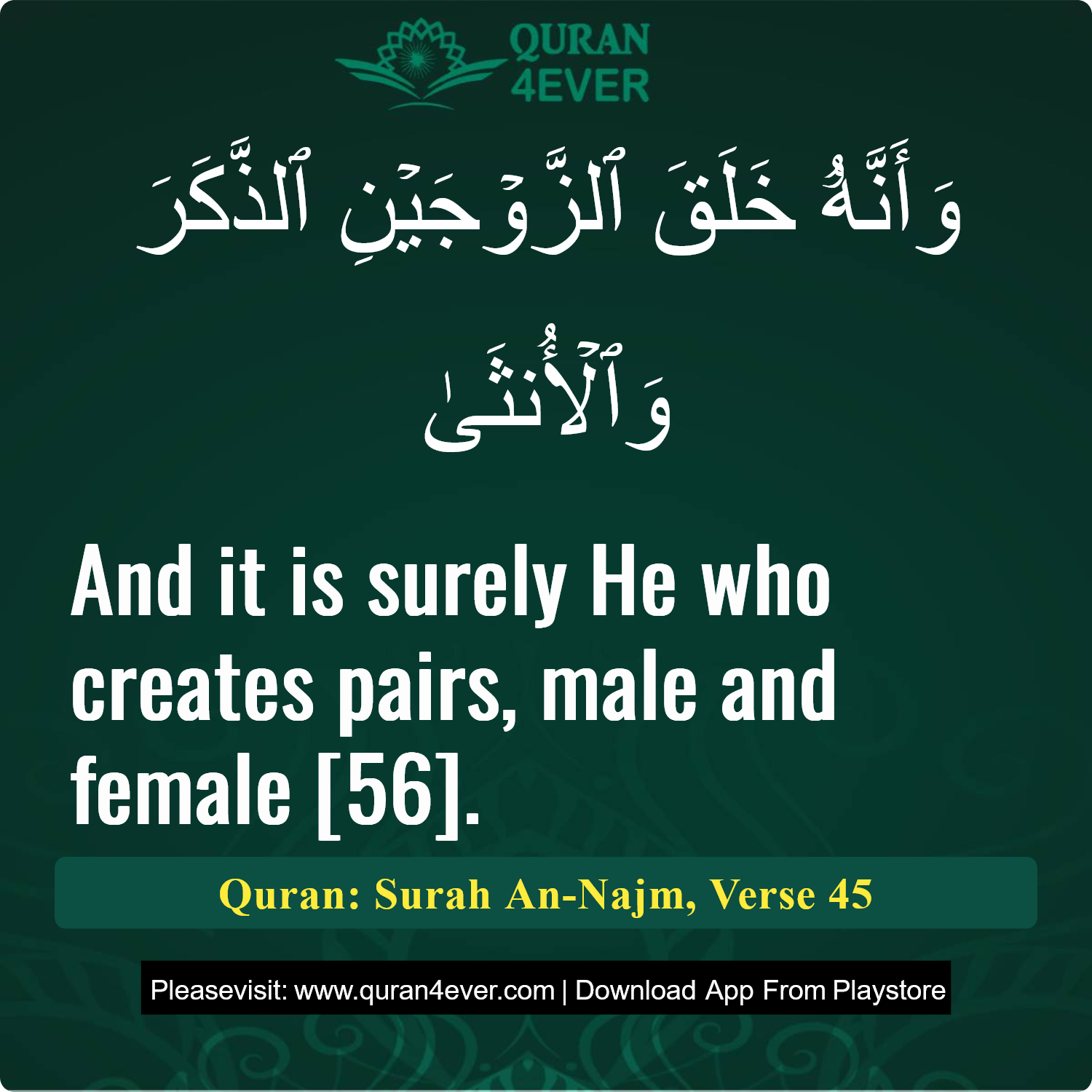 Surah 53, Ayah 45 - Quran Image