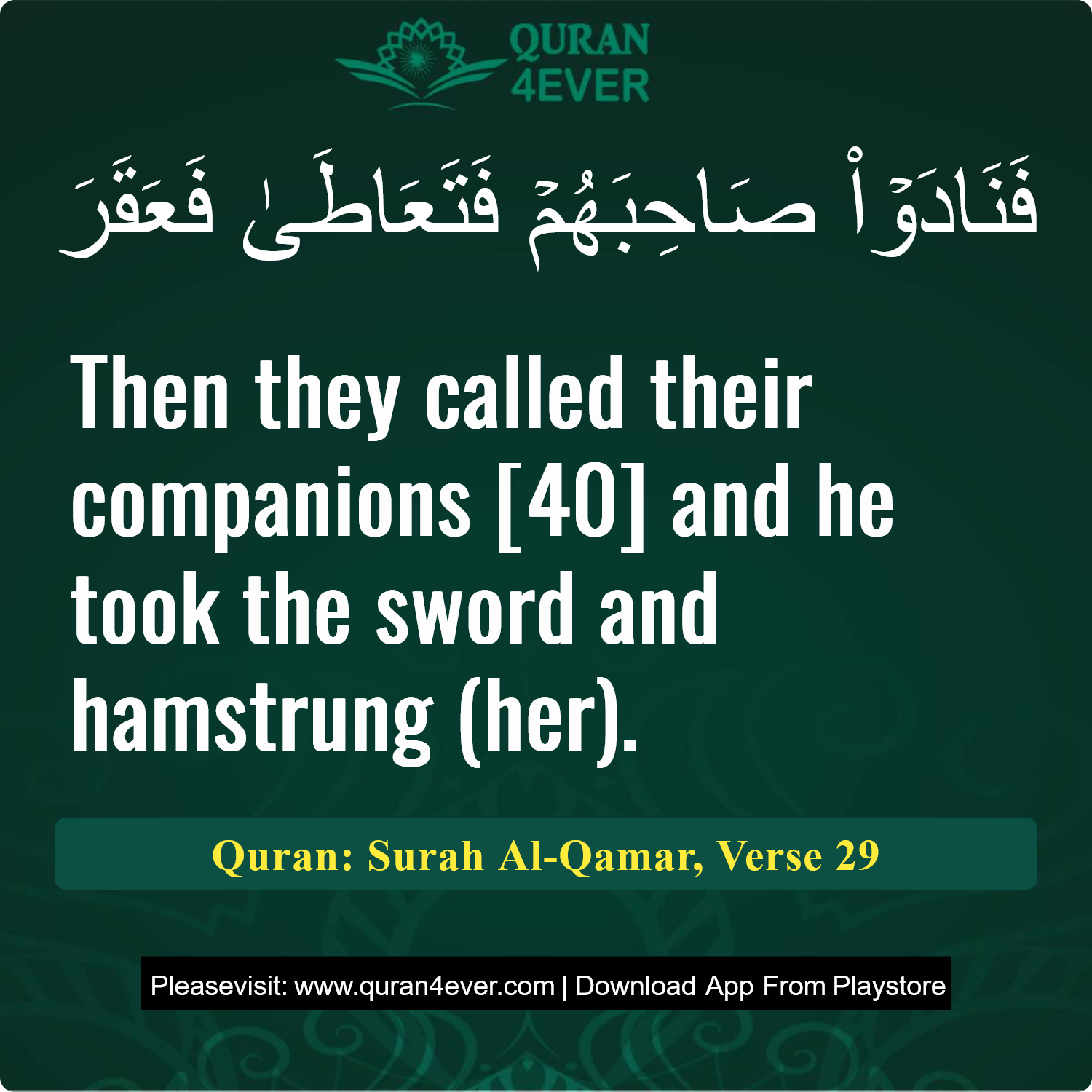 Surah 54, Ayah 29 - Quran Image