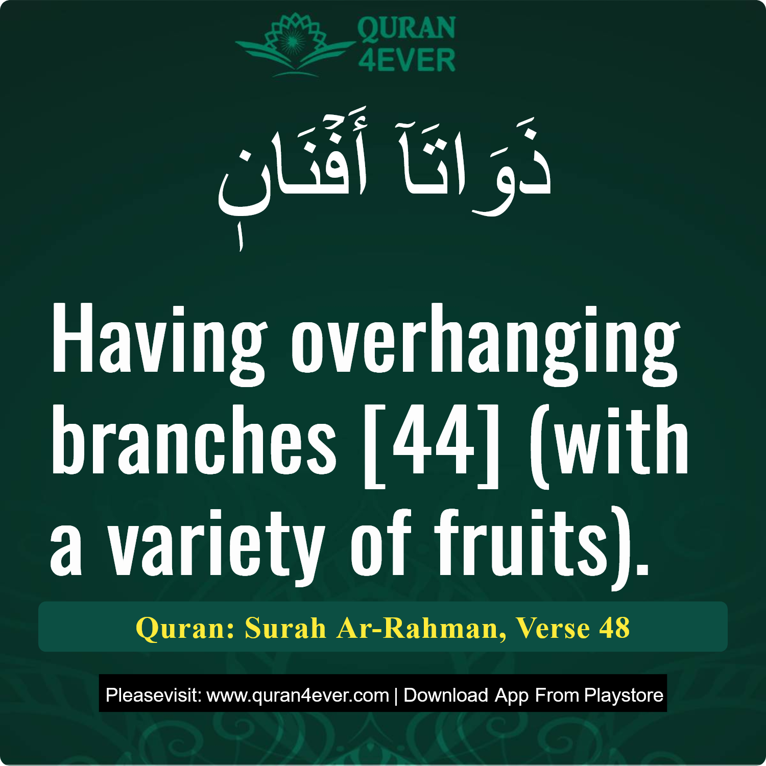 Surah 55, Ayah 48 - Quran Image