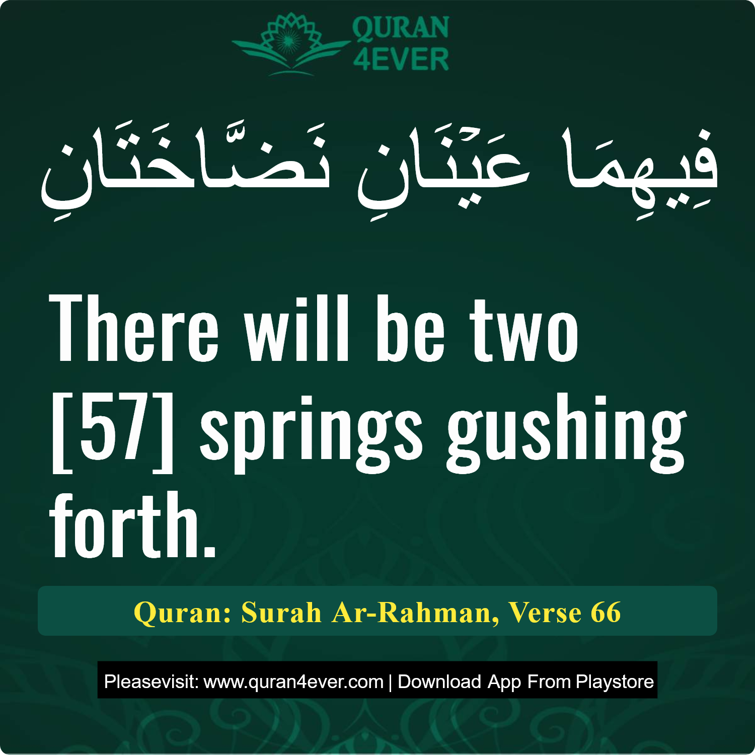 Surah 55, Ayah 66 - Quran Image