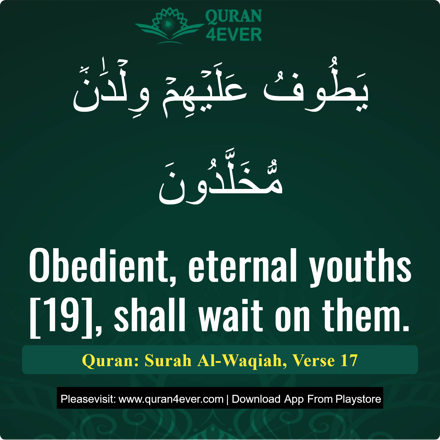Surah 56, Ayah 17 - Quran Image