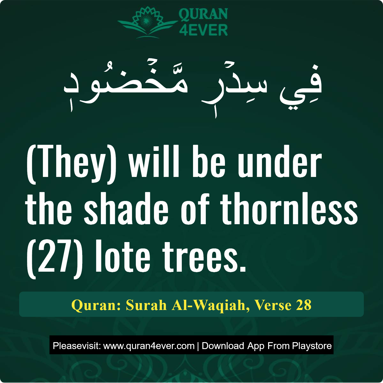 Surah 56, Ayah 28 - Quran Image