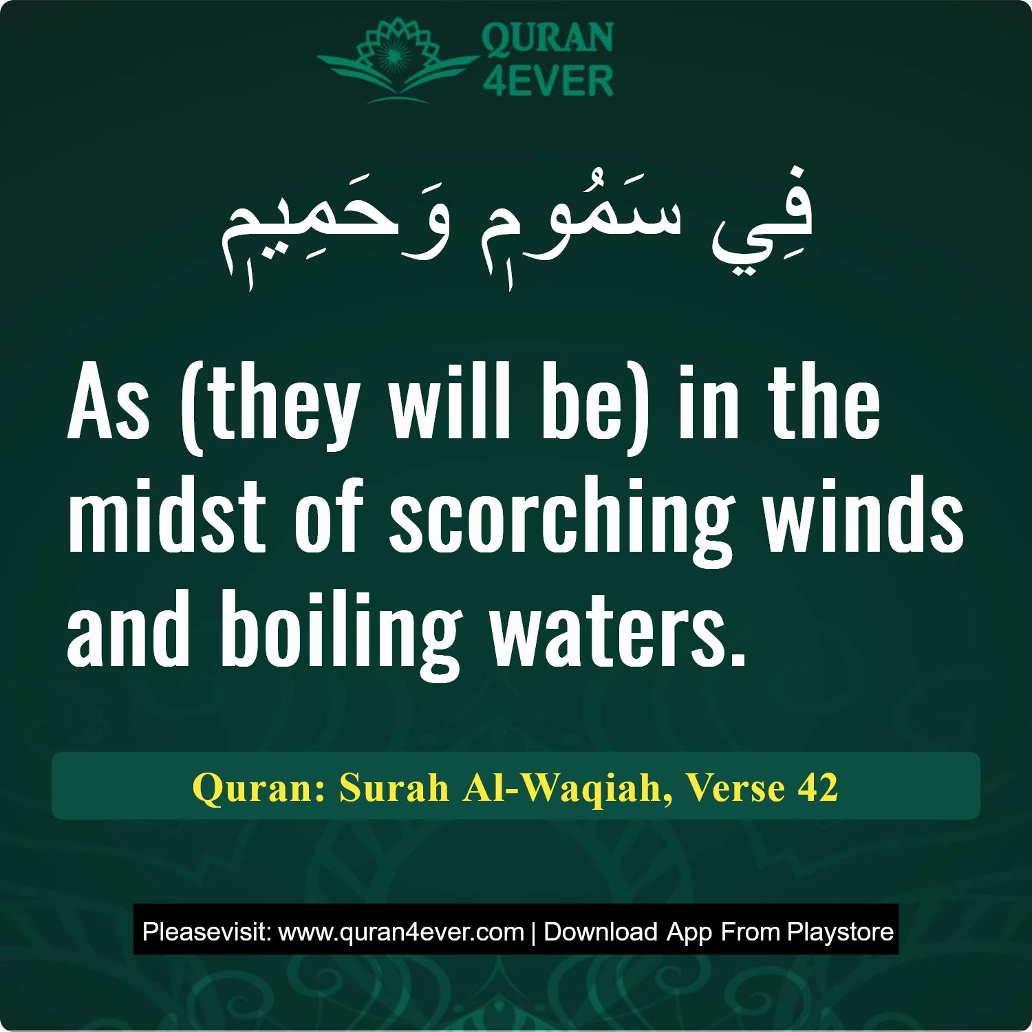 Surah 56, Ayah 42 - Quran Image