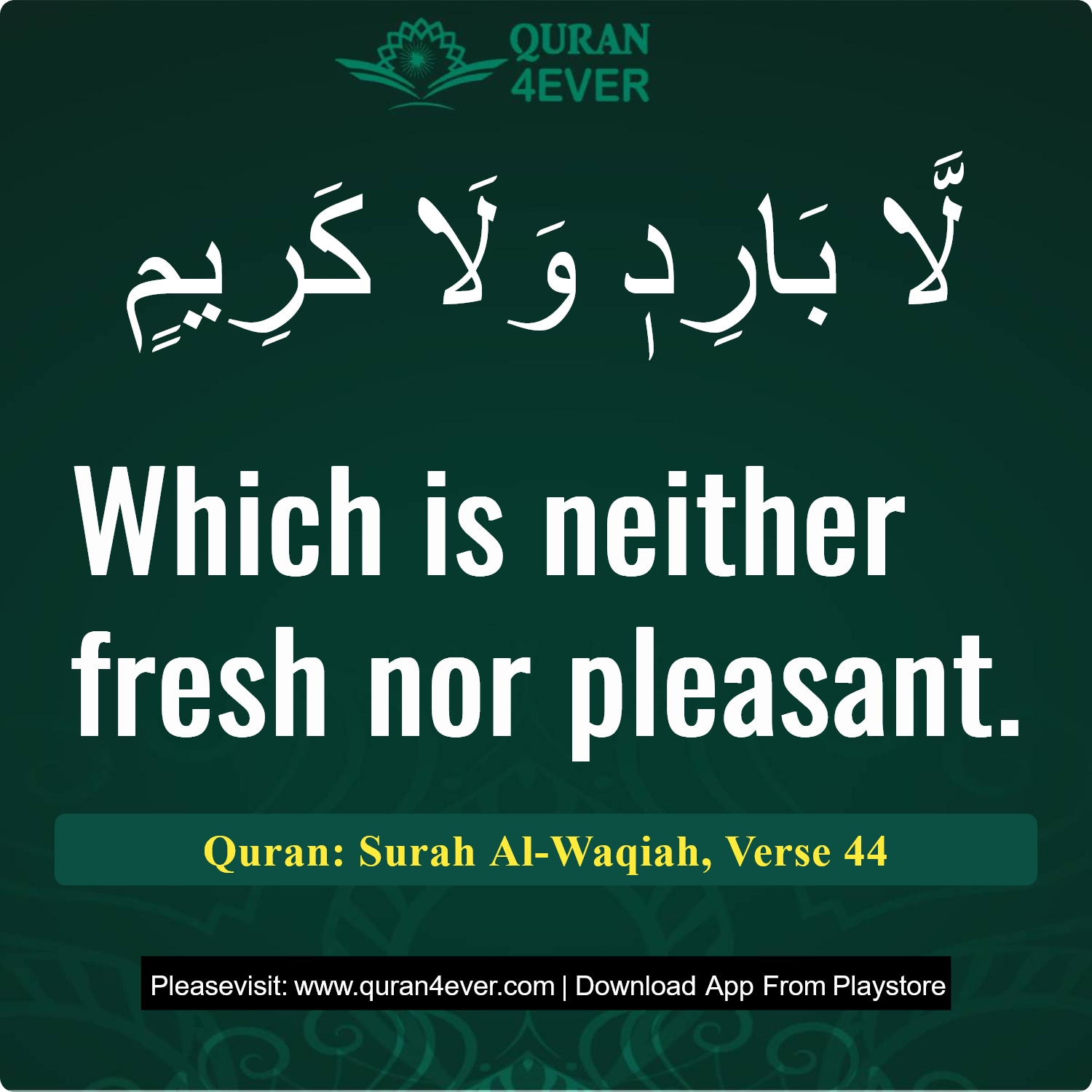 Surah 56, Ayah 44 - Quran Image