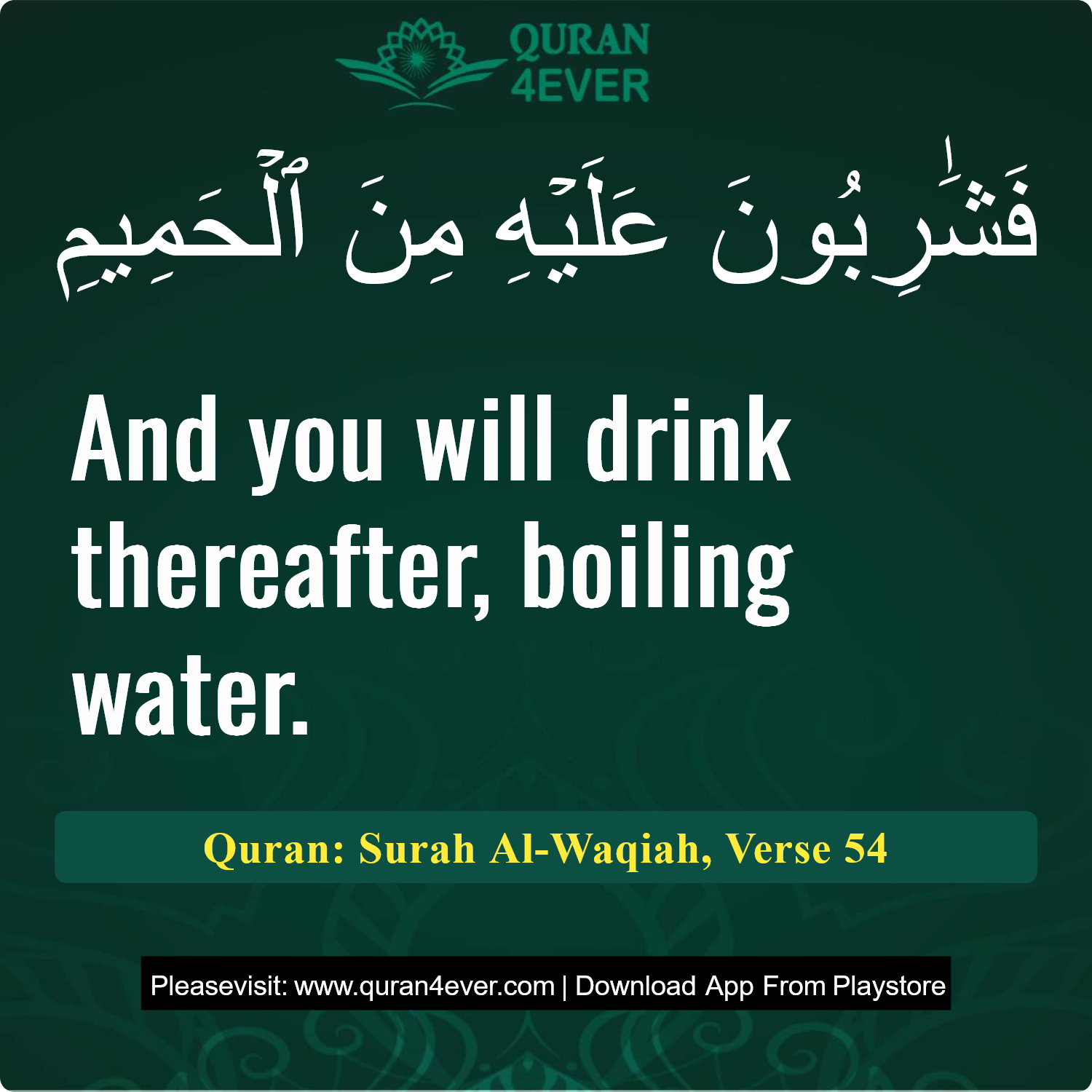 Surah 56, Ayah 54 - Quran Image