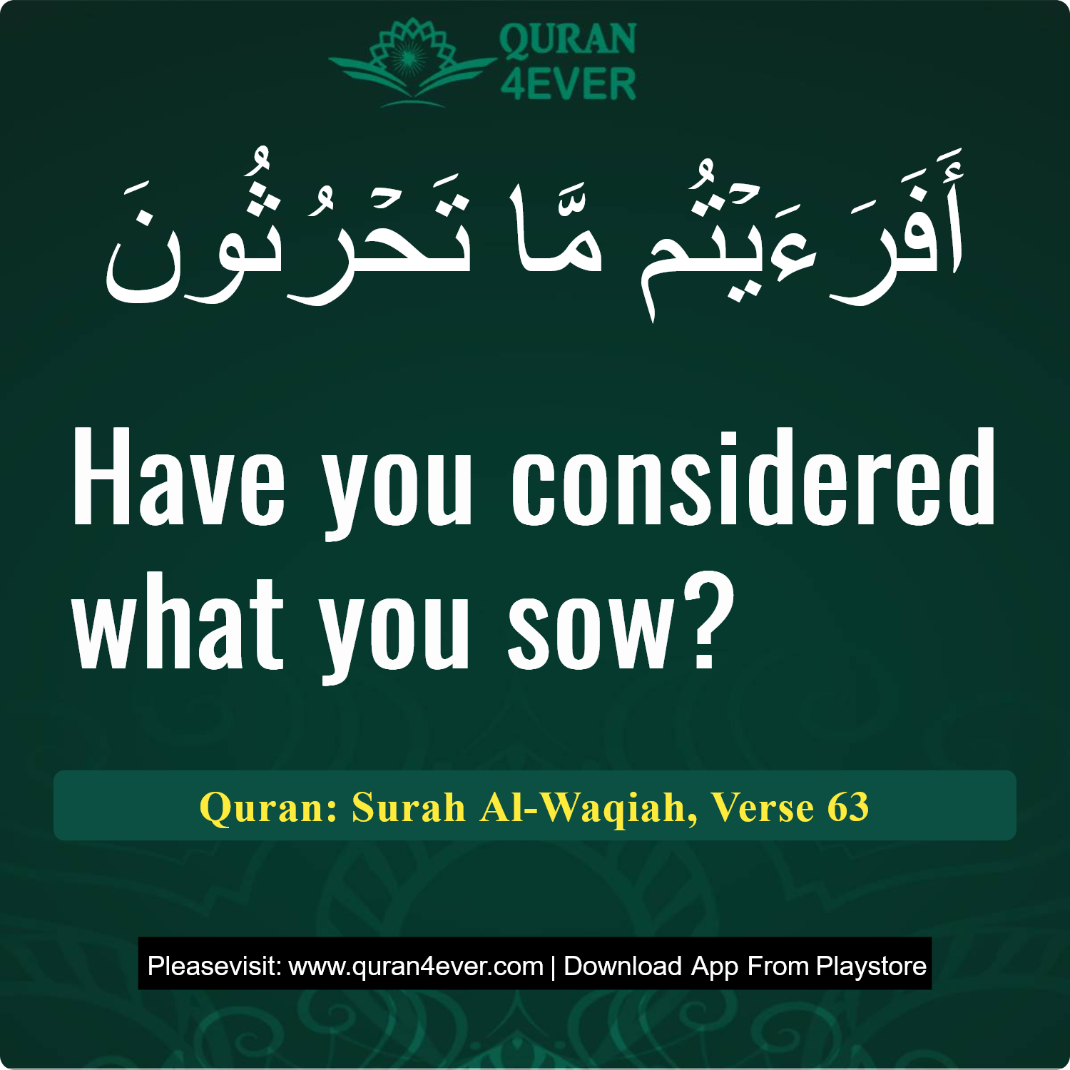 Surah 56, Ayah 63 - Quran Image