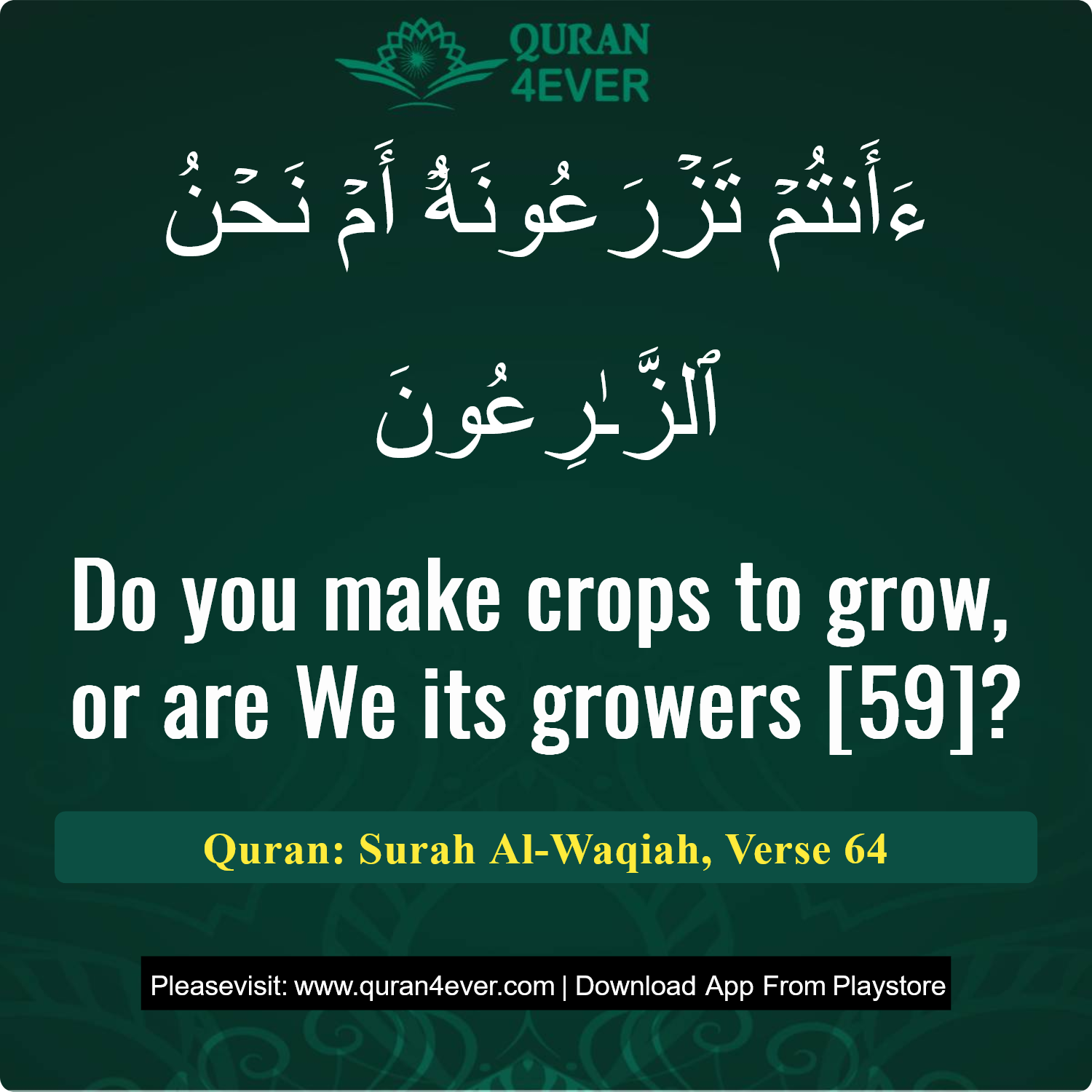 Surah 56, Ayah 64 - Quran Image