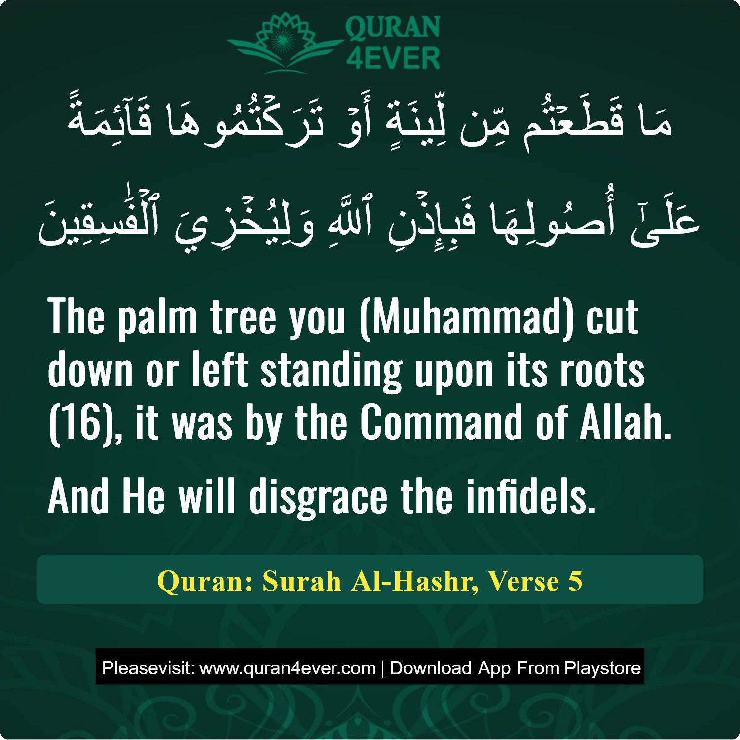 Surah 59, Ayah 5 - Quran Image