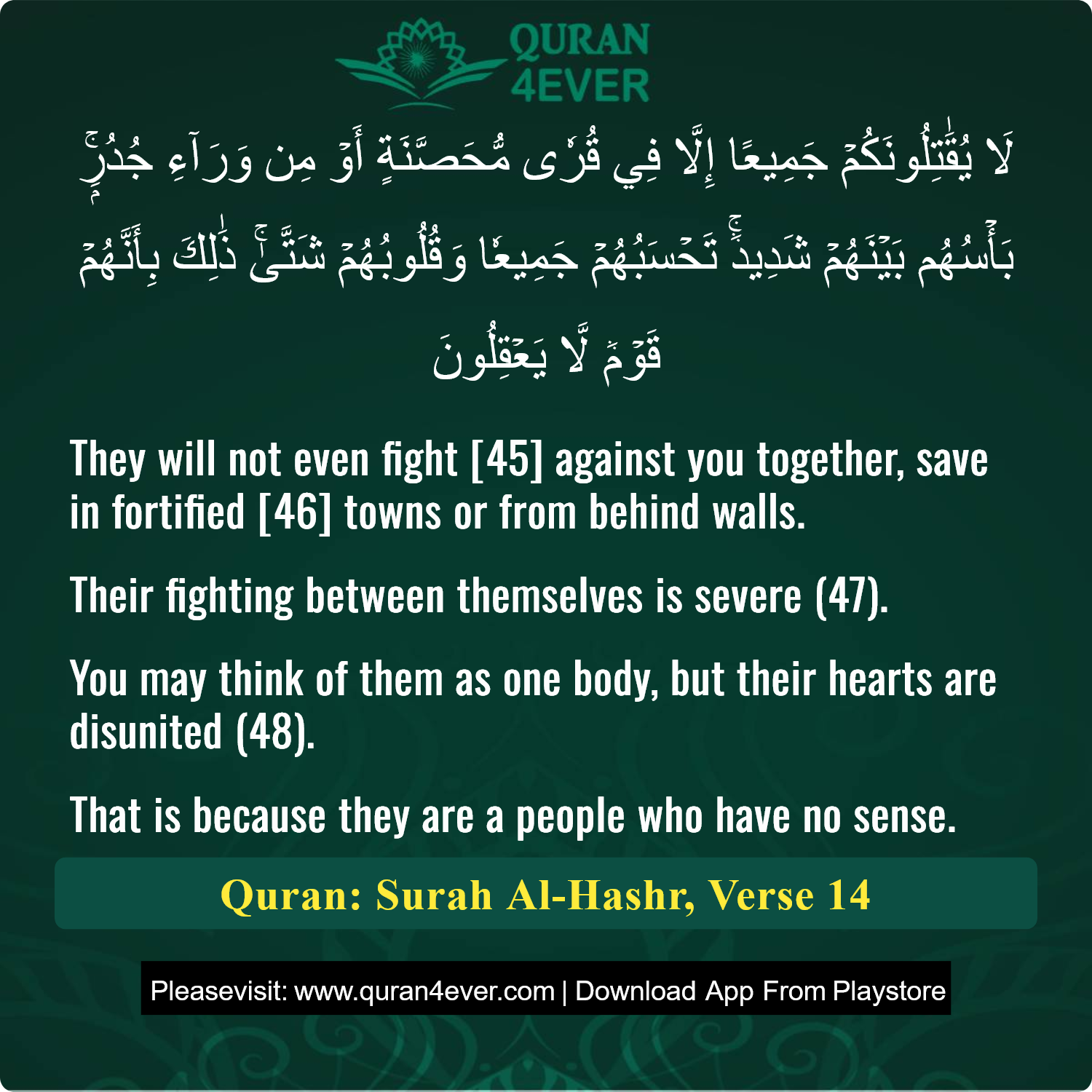 Surah 59, Ayah 14 - Quran Image