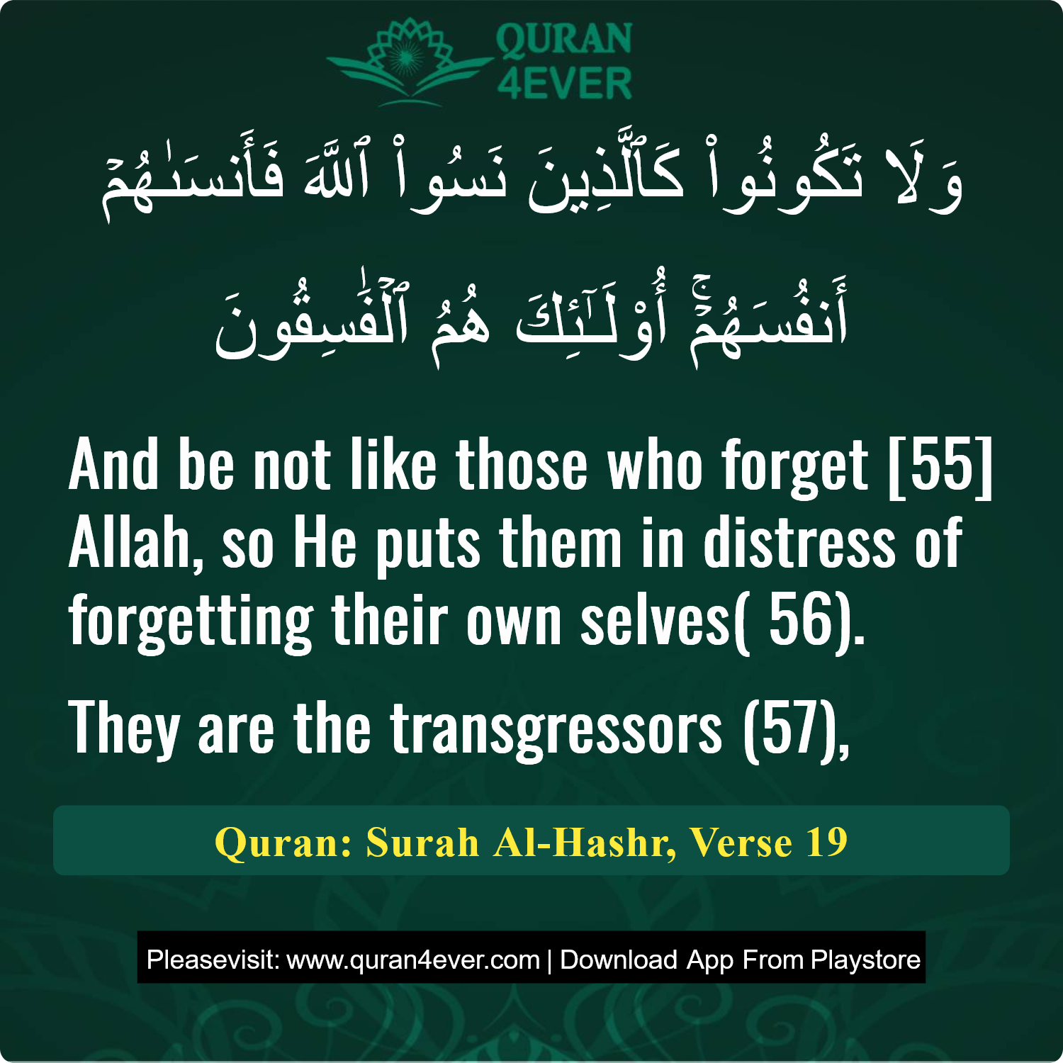 Surah 59, Ayah 19 - Quran Image