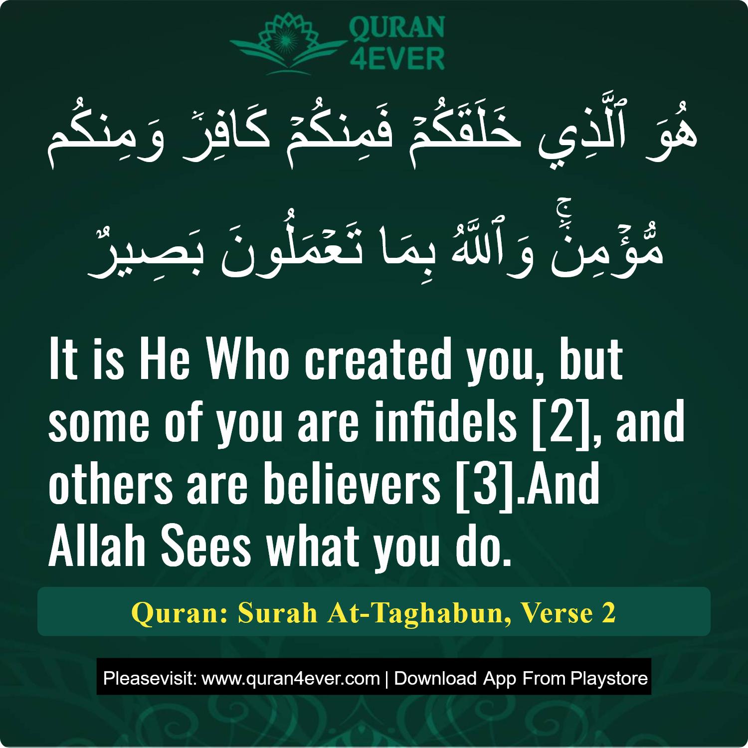 Surah 64, Ayah 2 - Quran Image