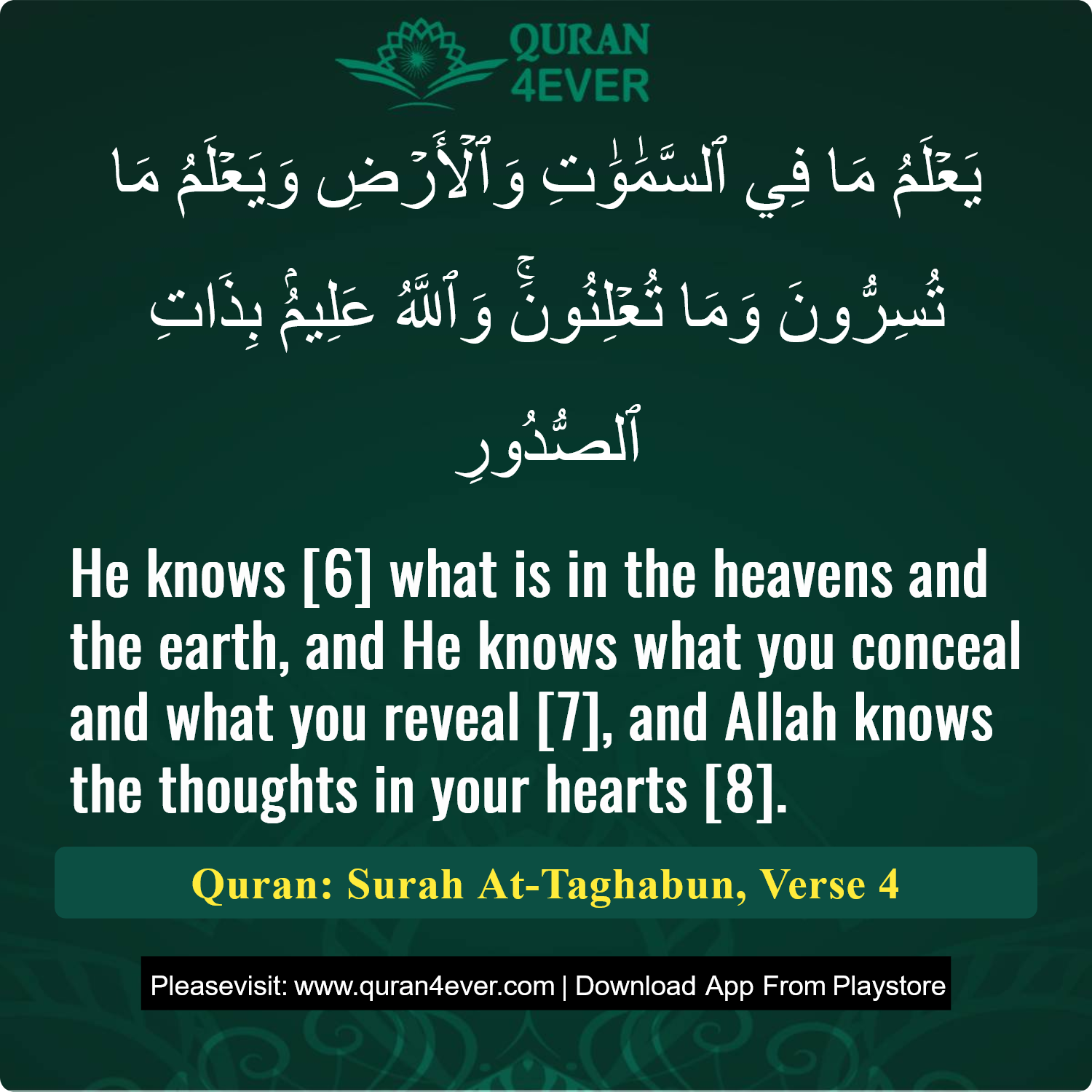 Surah 64, Ayah 4 - Quran Image