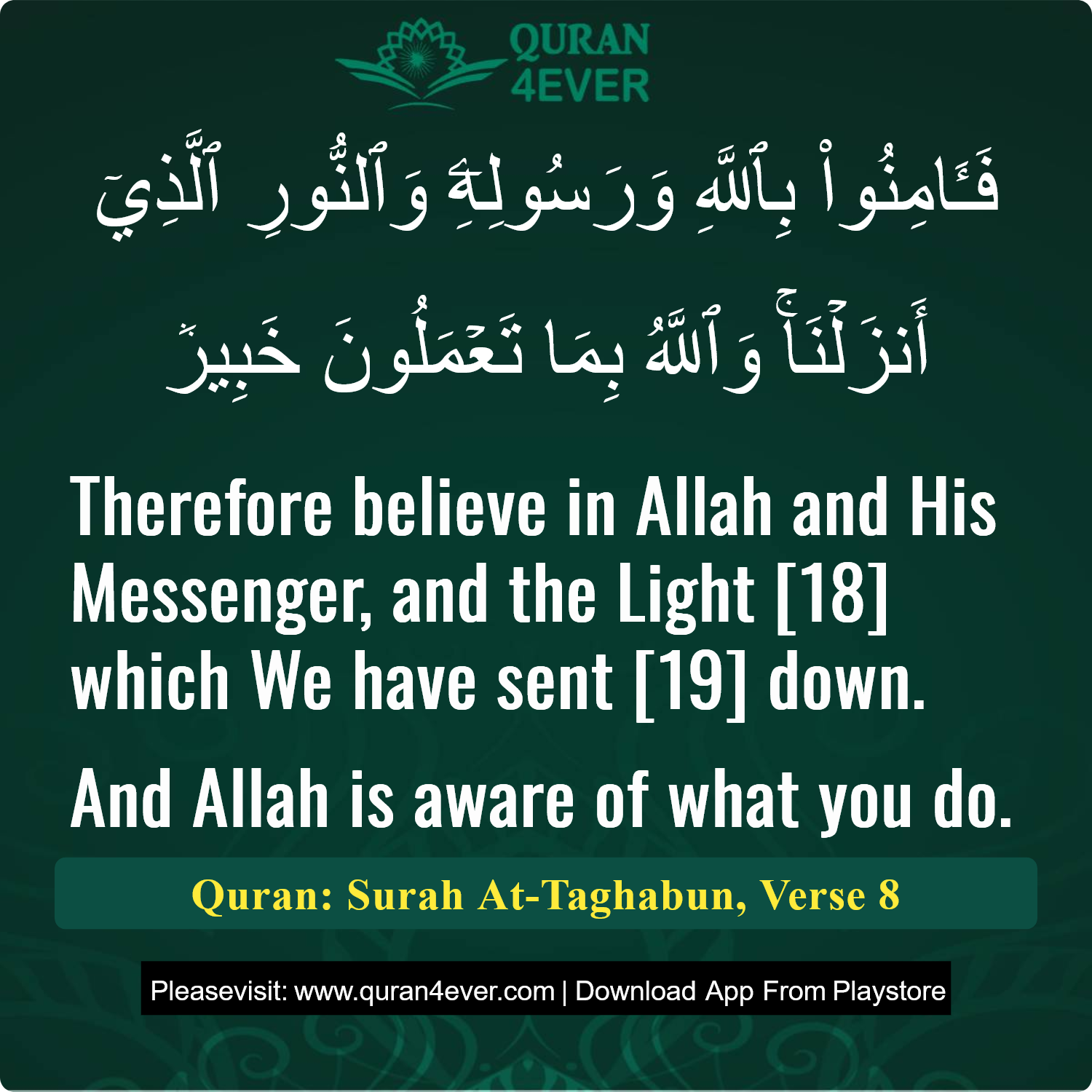 Surah 64, Ayah 8 - Quran Image