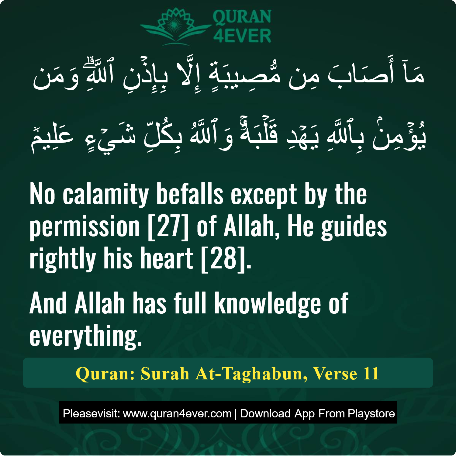 Surah 64, Ayah 11 - Quran Image