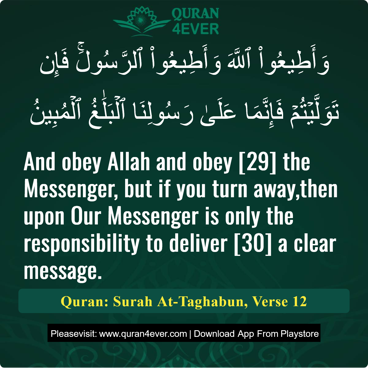 Surah 64, Ayah 12 - Quran Image