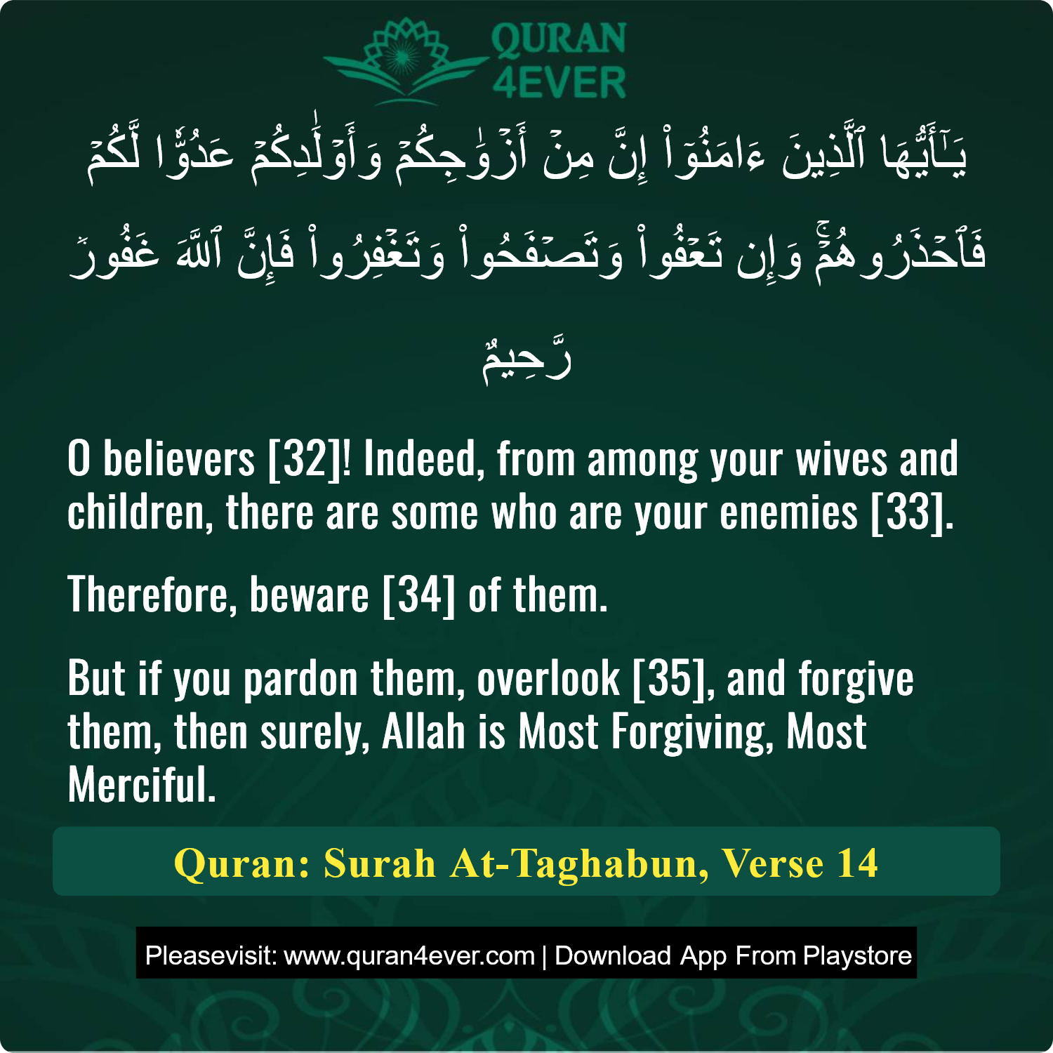Surah 64, Ayah 14 - Quran Image