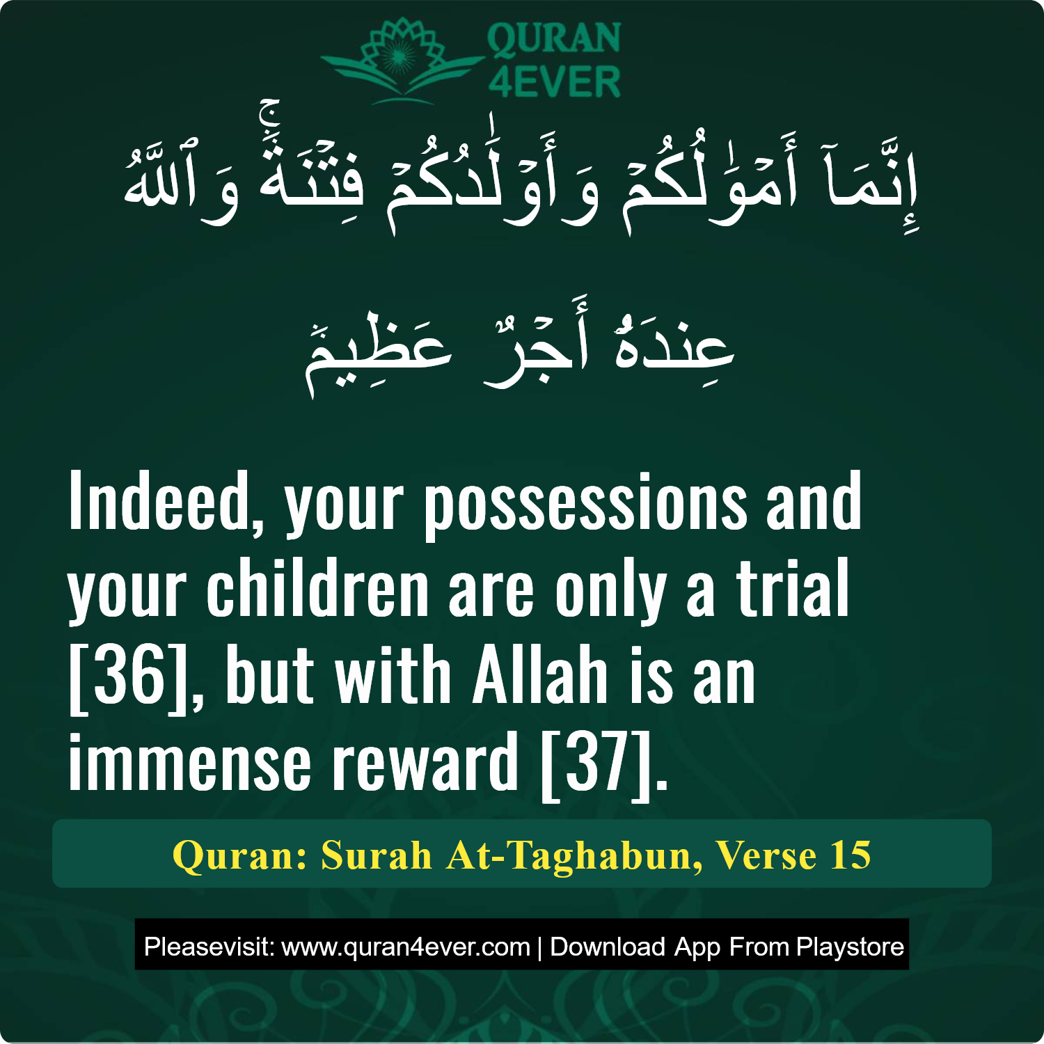 Surah 64, Ayah 15 - Quran Image