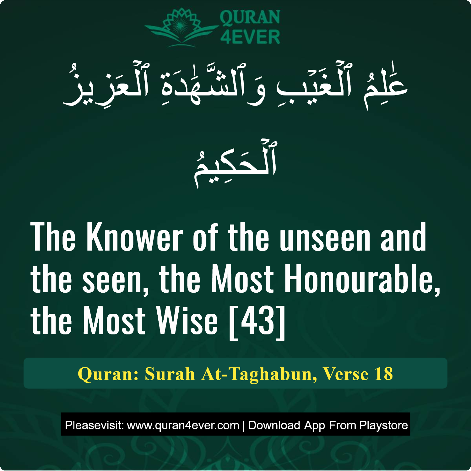Surah 64, Ayah 18 - Quran Image