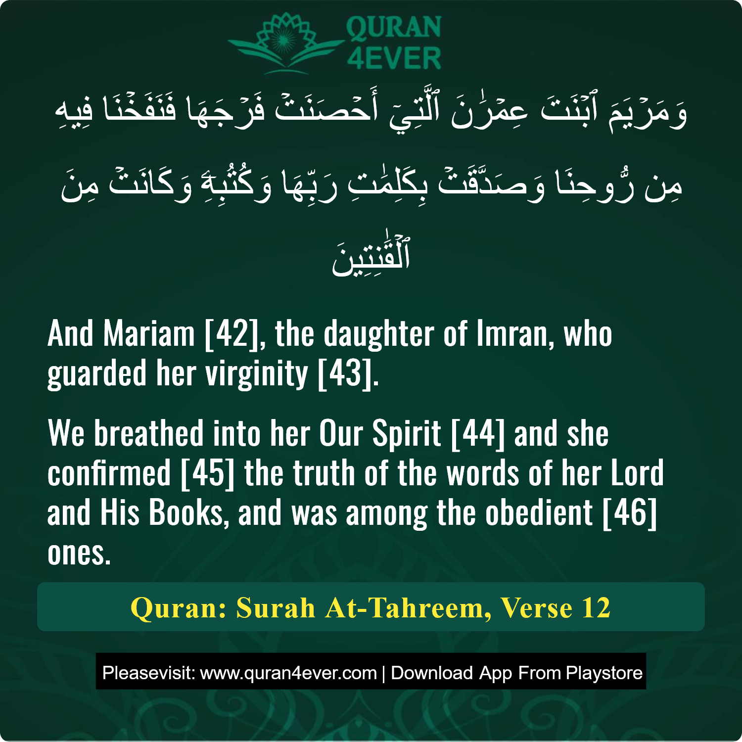 Surah 66, Ayah 12 - Quran Image