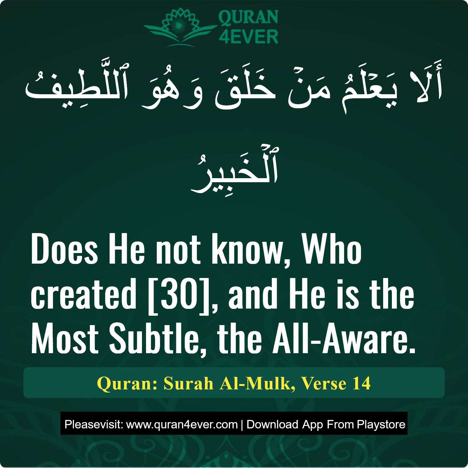 Surah 67, Ayah 14 - Quran Image