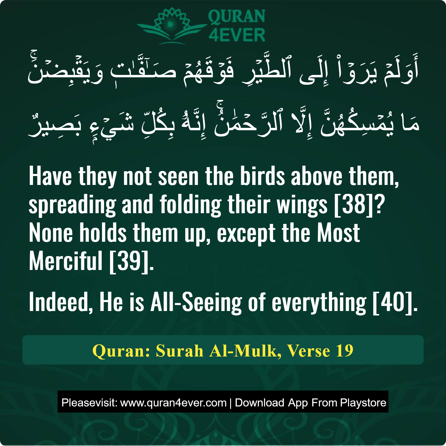 Surah 67, Ayah 19 - Quran Image