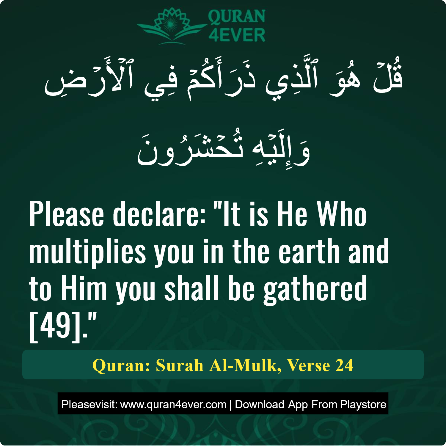 Surah 67, Ayah 24 - Quran Image