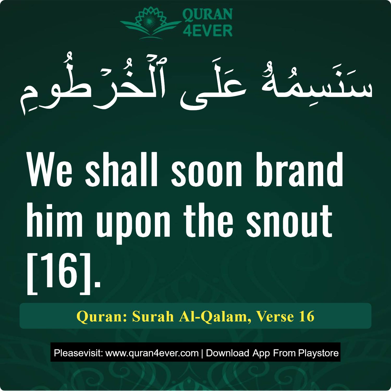 Surah 68, Ayah 16 - Quran Image