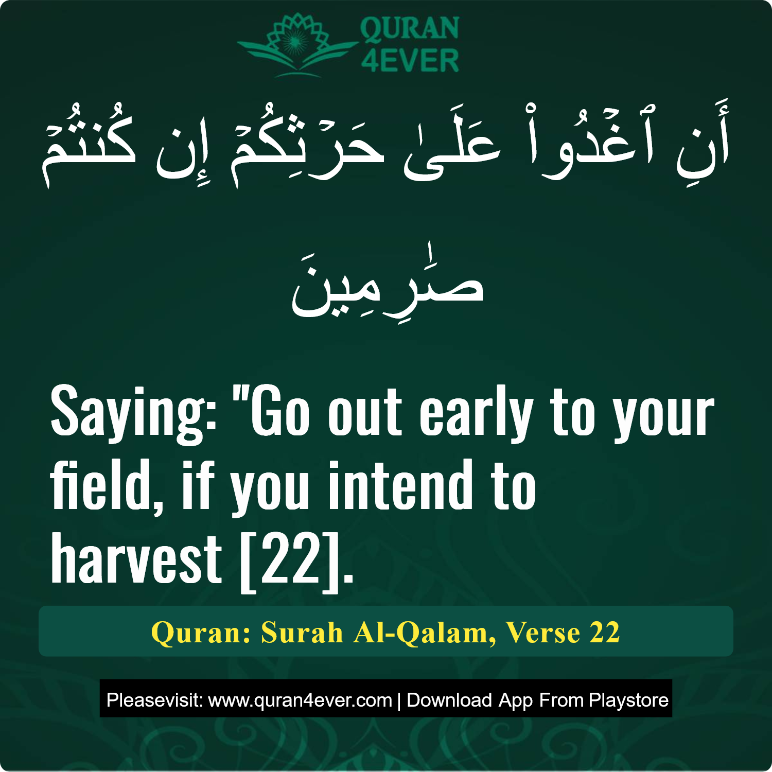 Surah 68, Ayah 22 - Quran Image