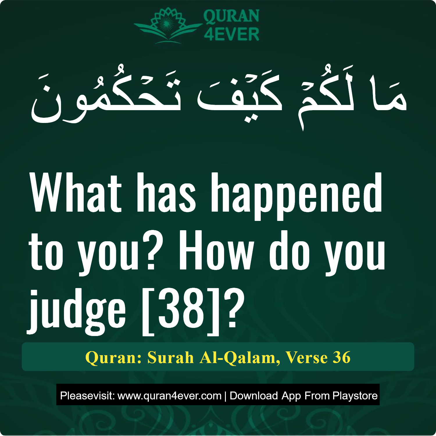 Surah 68, Ayah 36 - Quran Image