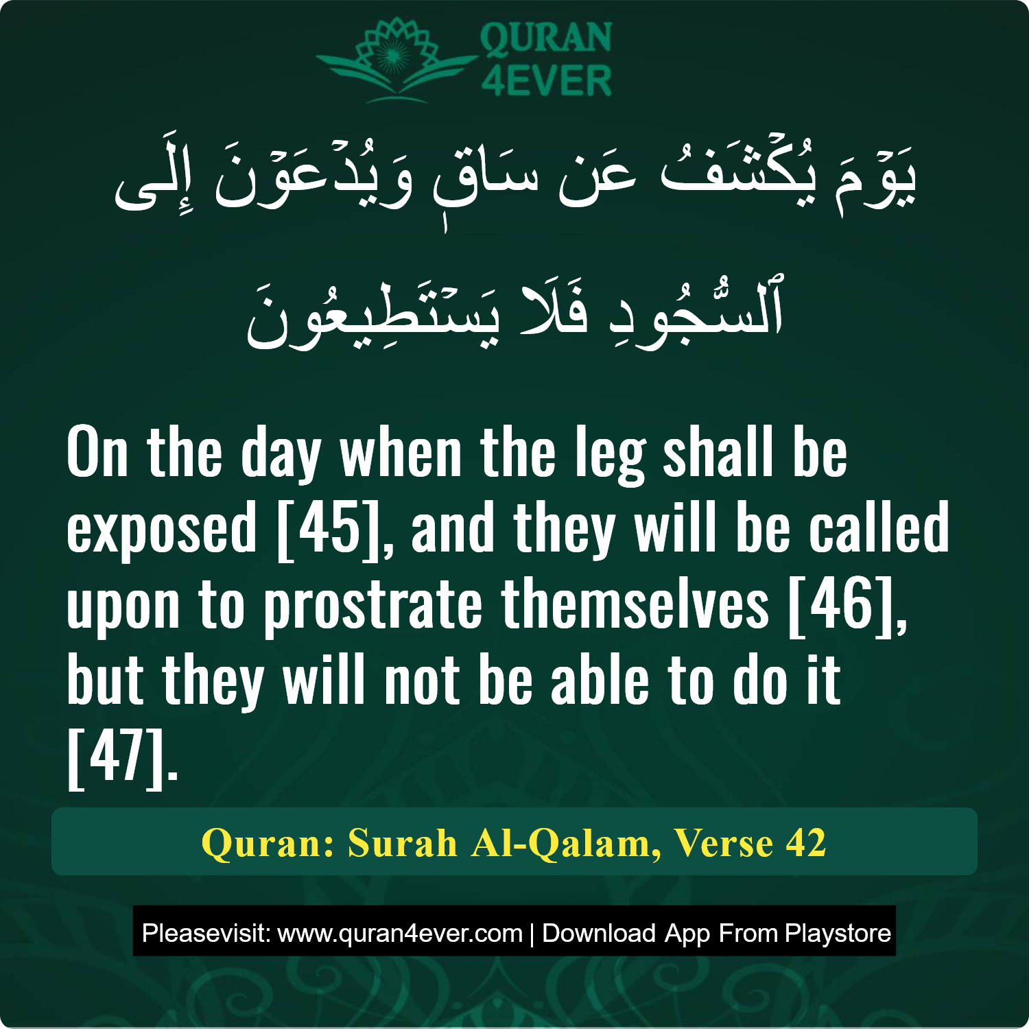Surah 68, Ayah 42 - Quran Image