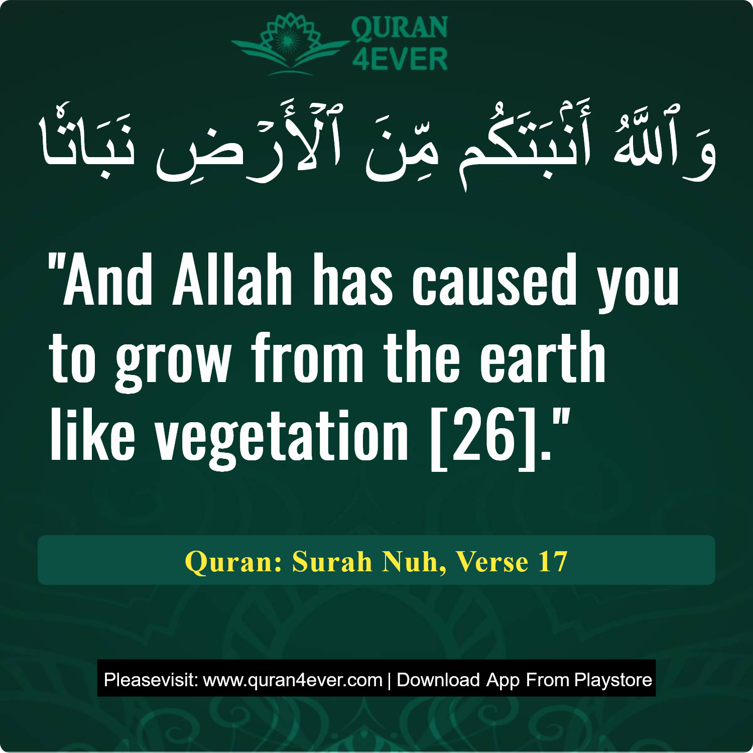 Surah 71, Ayah 17 - Quran Image
