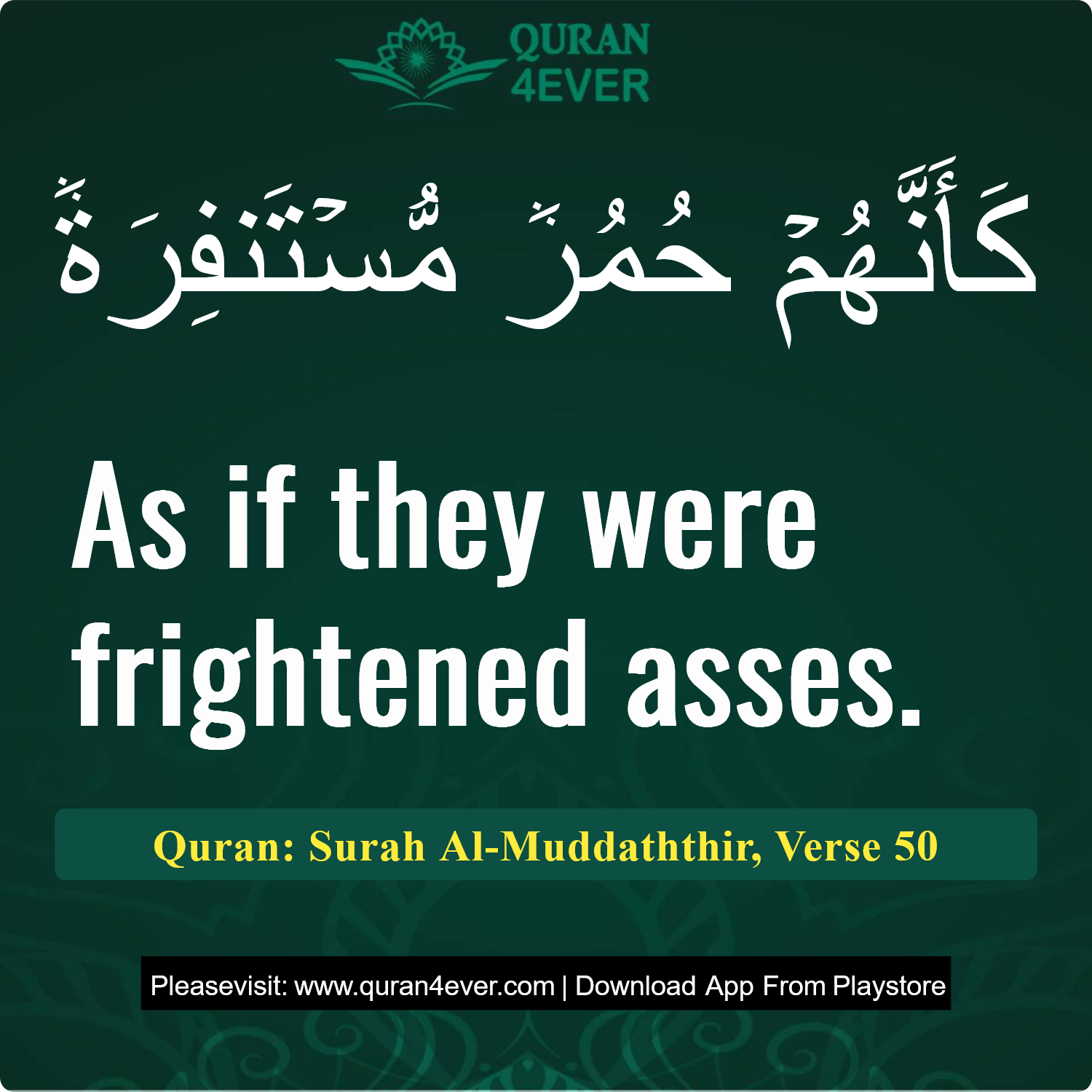 Surah 74, Ayah 50 - Quran Image
