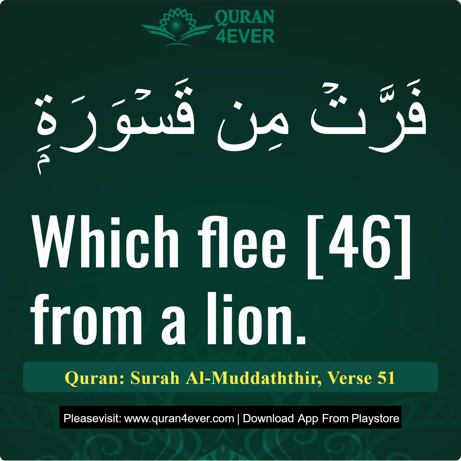 Surah 74, Ayah 51 - Quran Image