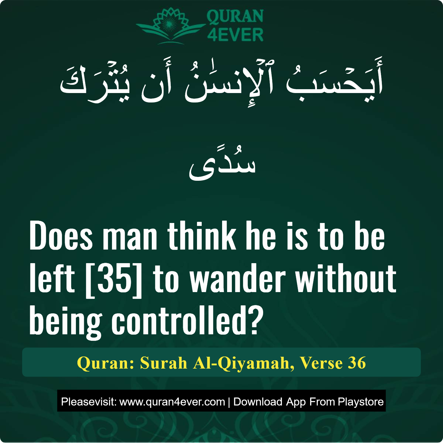 Surah 75, Ayah 36 - Quran Image