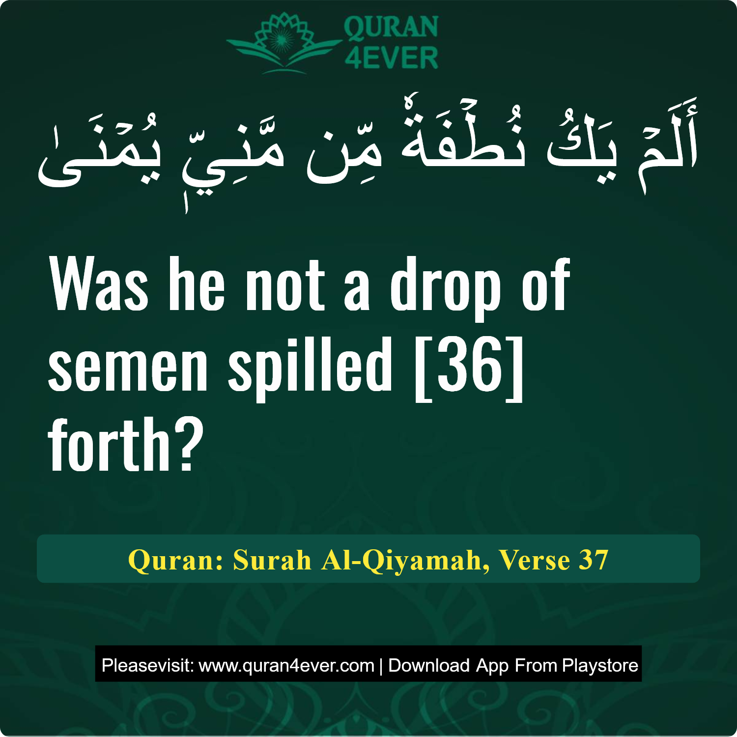 Surah 75, Ayah 37 - Quran Image