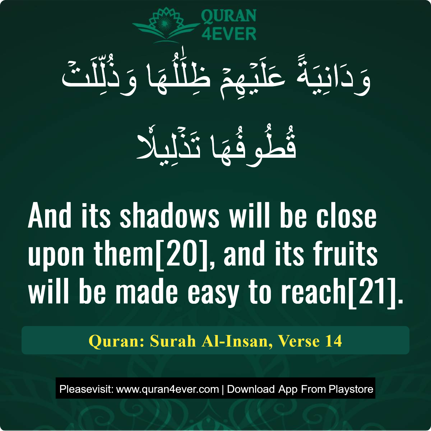 Surah 76, Ayah 14 - Quran Image