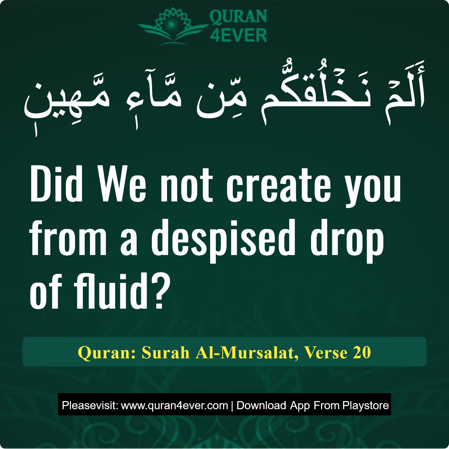Surah 77, Ayah 20 - Quran Image
