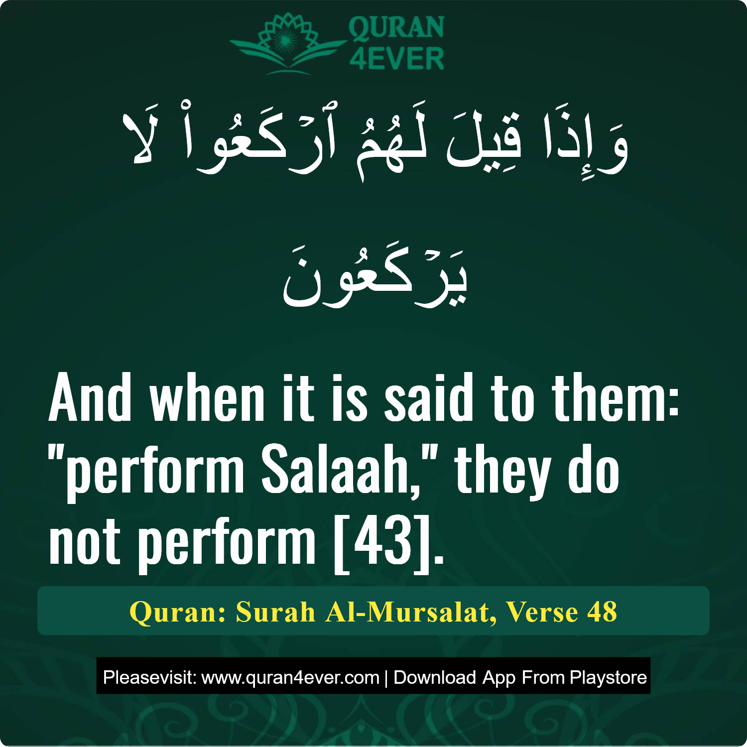 Surah 77, Ayah 48 - Quran Image