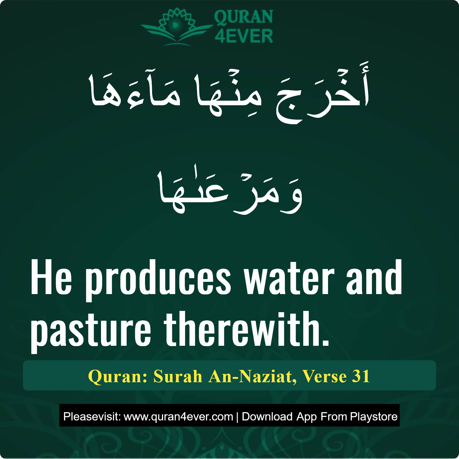 Surah 79, Ayah 31 - Quran Image