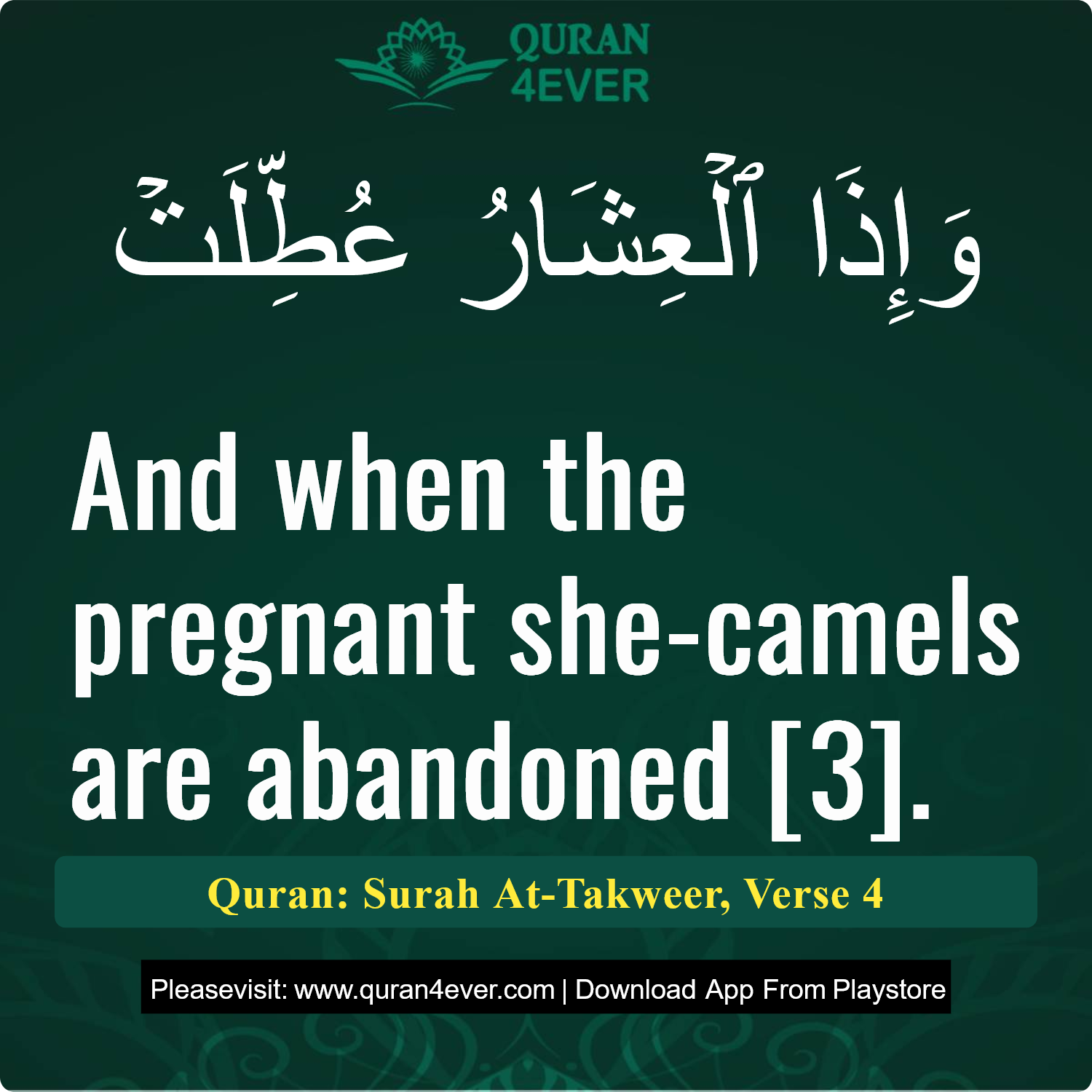 Surah 81, Ayah 4 - Quran Image